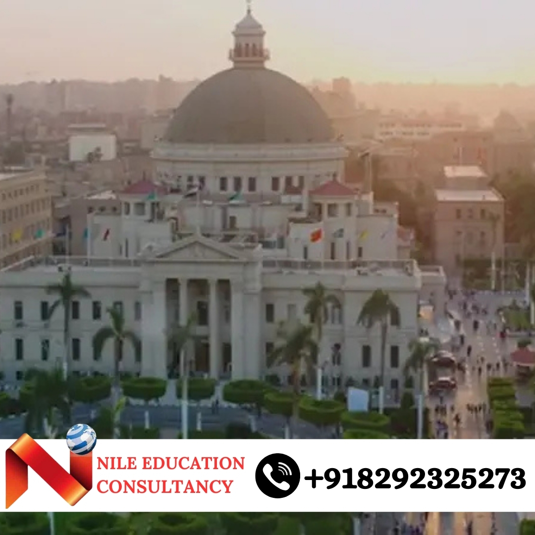 Cairo University Hospital Training